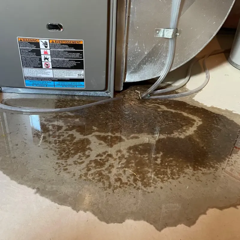 Appliance Leak Cleanup in Butte County, ID